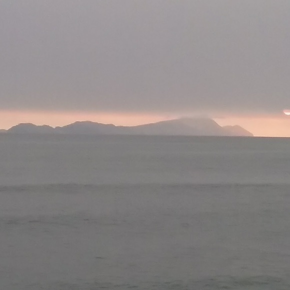 Meet your Posher, Maddie - Picture 1 of 1